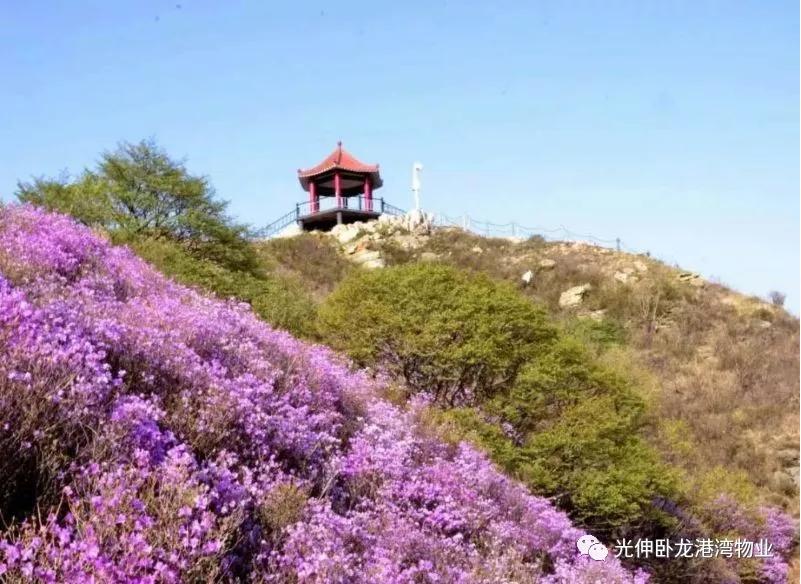 首页 | J9集团公司官网